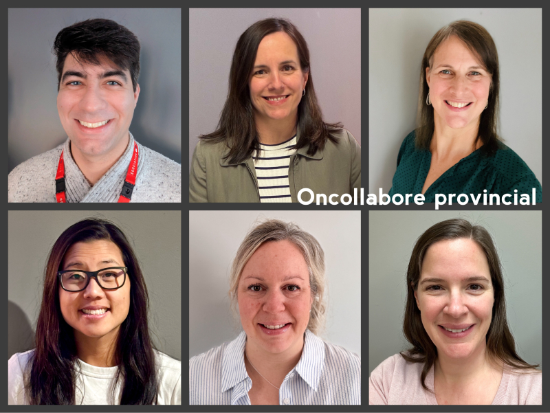 L’équipe Oncollabore provincial : de gauche à droite, et de en haut en bas : M. Alexander Mehta, pharmacien, CIUSSS de l’Ouest-de-l’Île-de-Montréal, Mme Mélanie Masse, pharmacienne CIUSSS Mauricie-Centre-du-Québec, Mme Geneviève Béliveau, pharmacienne, CIUSSS Mauricie-Centre-du-Québec, Mme Monica Khauv, pharmacienne, CIUSSS de l’Ouest-de-l’Île-de-Montréal, Mme Audrée Le Bail, pharmacienne, CHU de Québec-Université Laval, Mme Anne-Catherine Martineau-Beaulieu, pharmacienne, CHU de Québec-Université Laval. Photo des pharmaciennes et du pharmacien de l'équipe projet « Oncollabore provincial ».