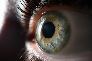 oeil_300x200.jpg